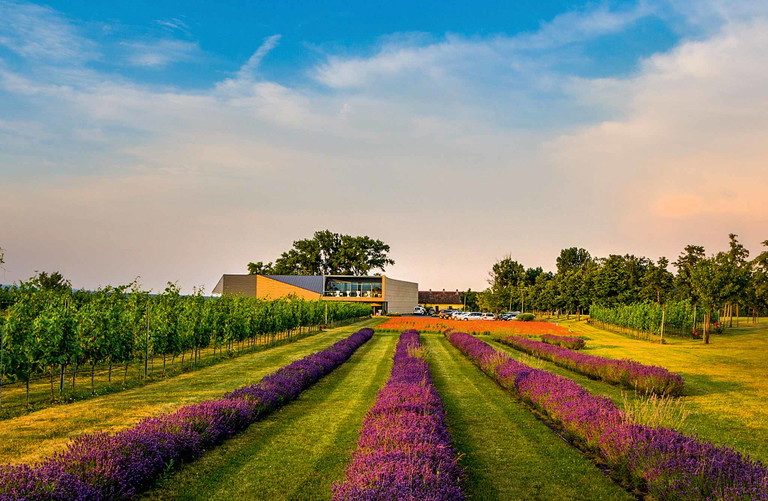 Burgenland, modern: das Weingut Esterházy in Trausdorf.
