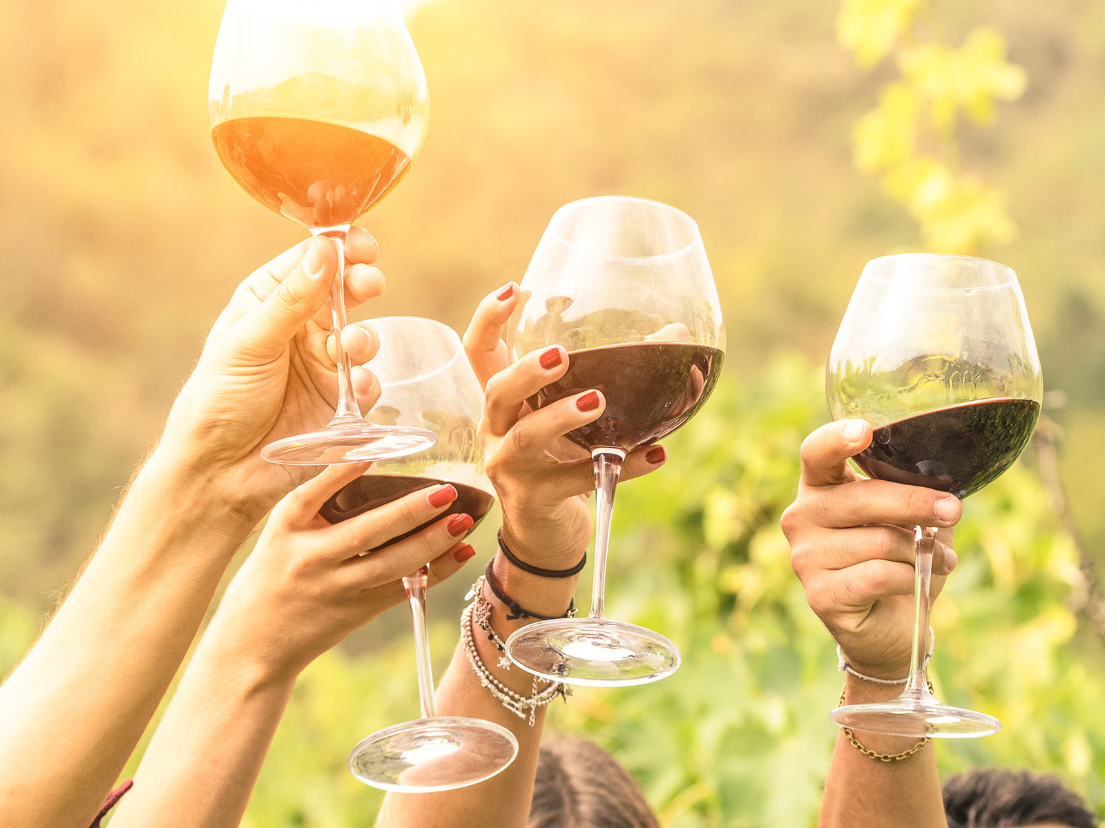 Bei Planscher wird einheimischer Wein zelebriert