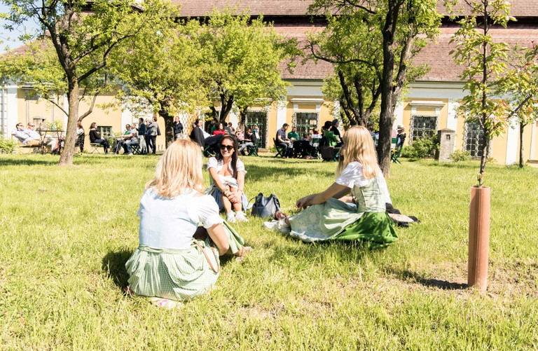 Der Zwetschkengarten vom Schloss Gobelsburg bietet viel Platz für den Weingenuss.