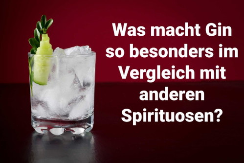 Das Besondere an Gin ist, dass er zwar fast ausschliesslich als Mischgetränk getrunken wird, sich diesem geschmacklich aber nicht oder nur gering anpasst. Ein Wodka schmeckt beispielsweise immer wie das begleitende Mischgetränk, der Gin dagegen behält seinen individuellen Geschmack. Ausserdem ist keine andere Spirituose so abwechslungsreich im Geschmack wie Gin: Jede Sorte ist individuell von süss über zitronig bis kräuterig.