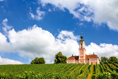 Die Kloster- und Wallfahrtskirche Birnau ist von Reben umgeben – und entfaltet in ihrem Inneren die volle Pracht des Kunstschaffens aus dem Barock.