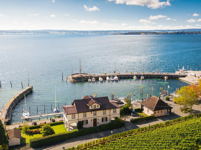 Blick über die Reben der Spitzenlage Rieschen hinab auf den Meersburger Hafen und den See.
