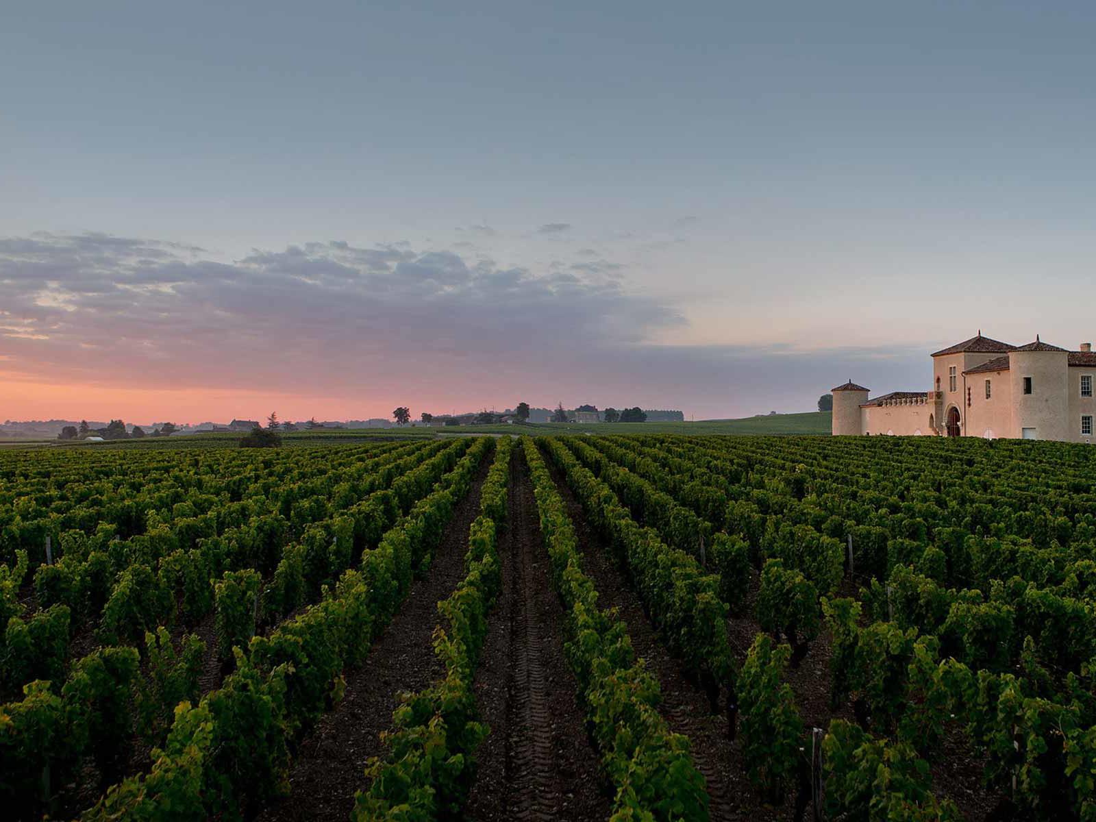 Abenddämmerung bei Château Lafaurie-Peyraguey in Sauternes.