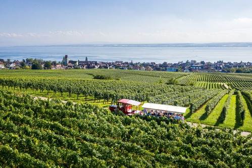 Beim Winzerverein Hagnau kann man mit dem »Winzerexpress« einen Ausflug in die Reben unternehmen.