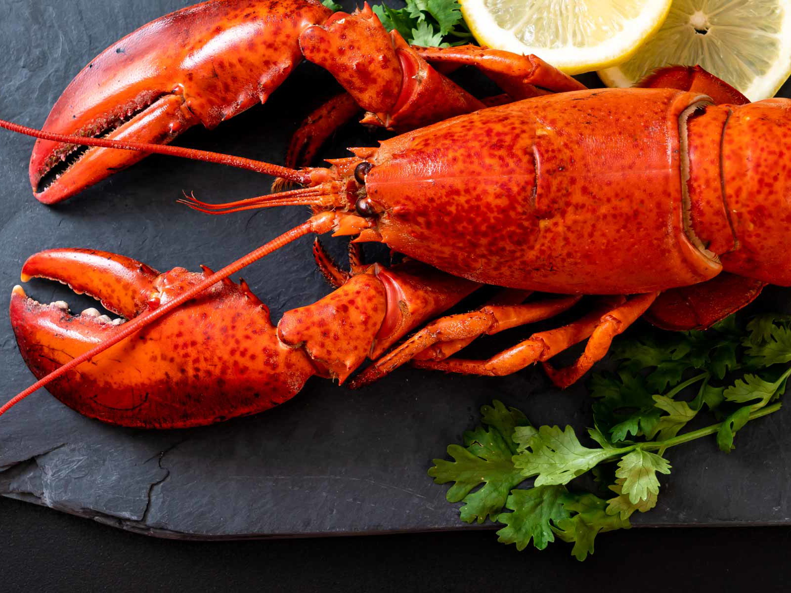 Zu buttrigem Hummer, Kaisergranat &amp; Co. muss es nicht immer Chardonnay sein – aber erlaubt ist er natürlich!