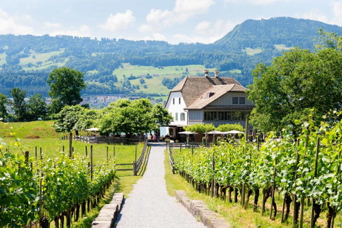 Das Inselrestaurant Ufnau