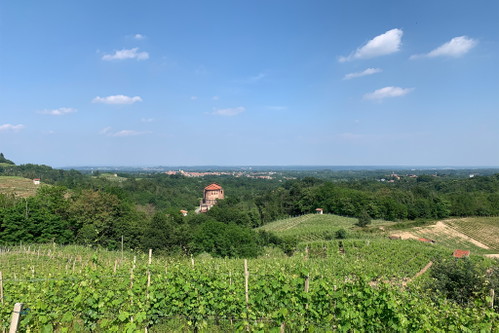 Boca, Blick nach Osten. Im Vordergrund das Santuario di Boca. Weiters, das typische Landschaftsbild in Boca - Reben und viel Wald!