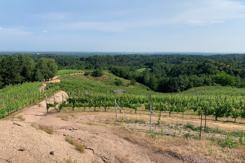Bramaterra - Porphyrböden, Reben und Wald