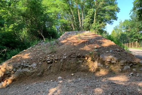 Eine verlassene Terrasse ziert den Weg durch den Wald zu den heutigen Rebgärten.
