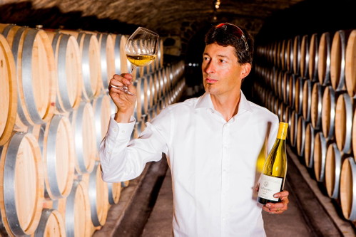 Weingut Kollwentz, Großhöflein.