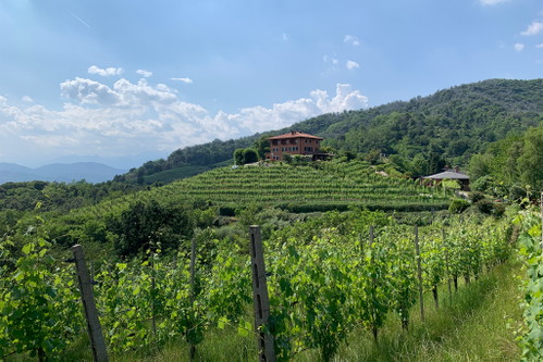 Podere Ai Valloni in Boca. Nicht nur ein atemberaubendes Landhaus, auch exzellente Weine mit Geschichte.
