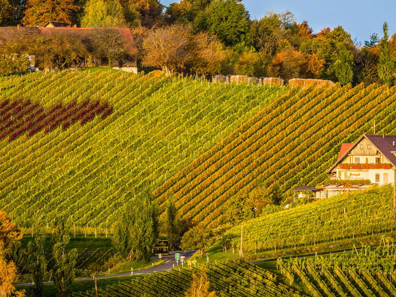 »Weingut Tschermonegg«, Glanz (Steiermark)&nbsp;