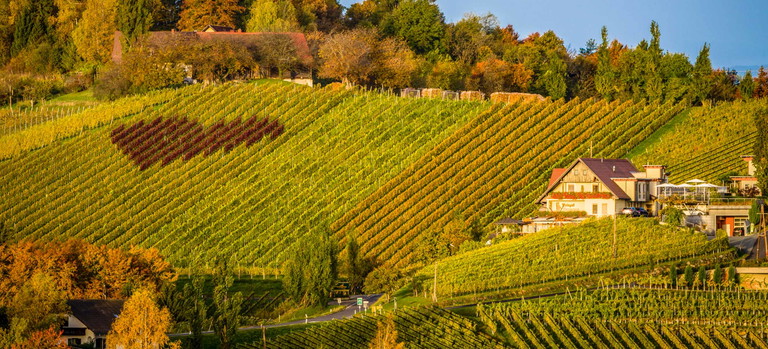 Der Heurige »Tschermonegg« konnte in der Kategorie »Schönste Aussicht« überzeugen.