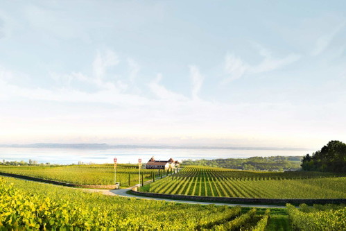 Die Domaine de Chambleau in Milvignes gehört zu den Spitzenbetrieben des Drei-Seen-Landes. Sie befindet sich am Neuenburgersee.