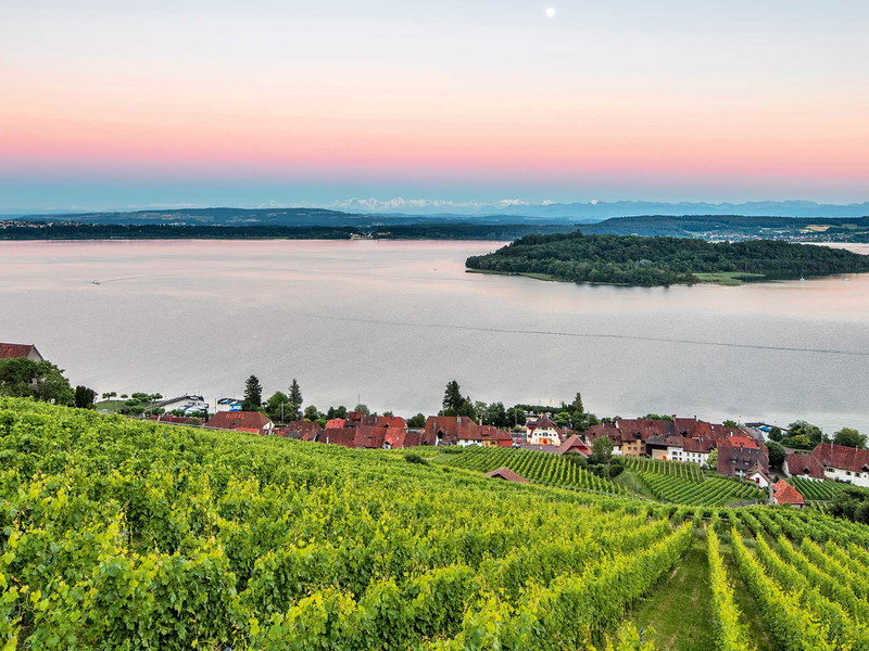 Hoch über dem Bielersee und streng Richtung Süden ausgerichtet: Die Weinhänge des Jura bringen einige der spannendsten Weine der Schweiz hervor.