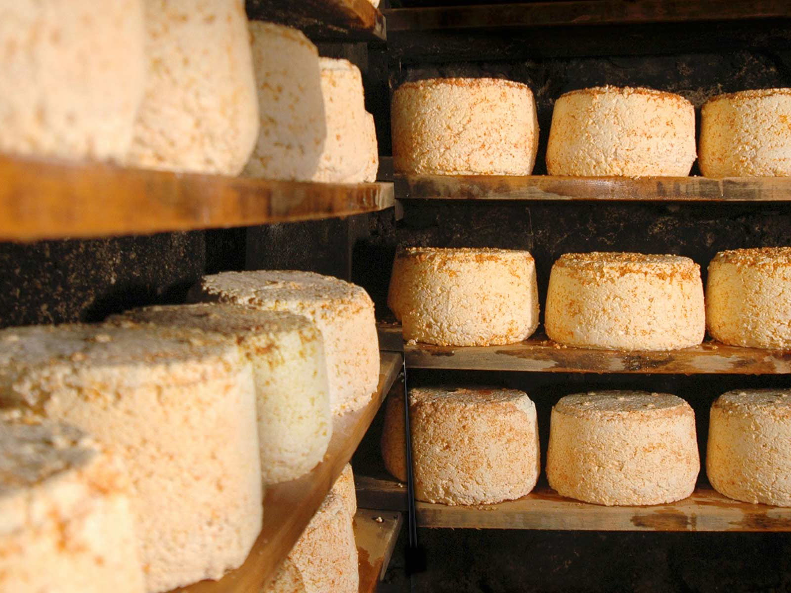 Der Montafoner Sura Kees (Sauerkäse) darf mehrere Monate im Keller reifen und ist unverzichtbarer Bestandteil der lokalen Küche.