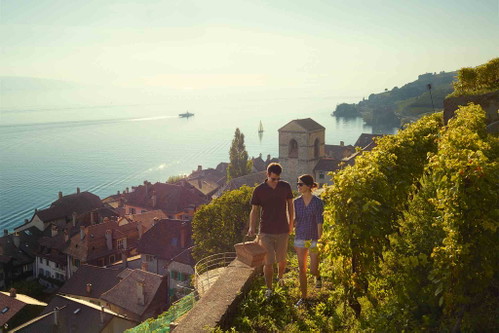 Spaziergang durch das Picknick-Paradies Lavaux.