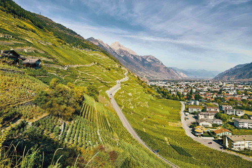 Steil ist hier gar kein Ausdruck. Die Rebterrassen in Martigny können nur von Hand bearbeitet werden.&nbsp;