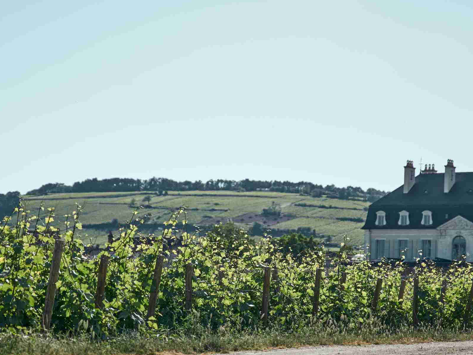 Château de Pommard
