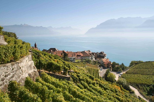 Eine Rebwanderung von Saint-Saphorin nach Lutry bietet einzigartige Ausblicke über den Genfersee. Und es gibt auch genügend Gelegenheiten für eine Rast in einem Winzerdorf des Lavaux.