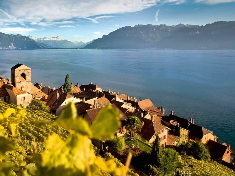 Das malerische Winzerdörfchen Saint-Saphorin ist Teil der legendären Reblandschaft Lavaux.