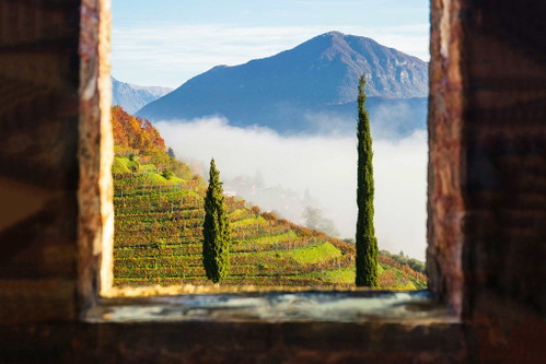 Hoch über dem Luganersee bieten die Weinberge von Castello di Morcote eine fantastische Aussicht. Das Reich von Gaby Gianini, die das Weingut 2009 übernahm.
