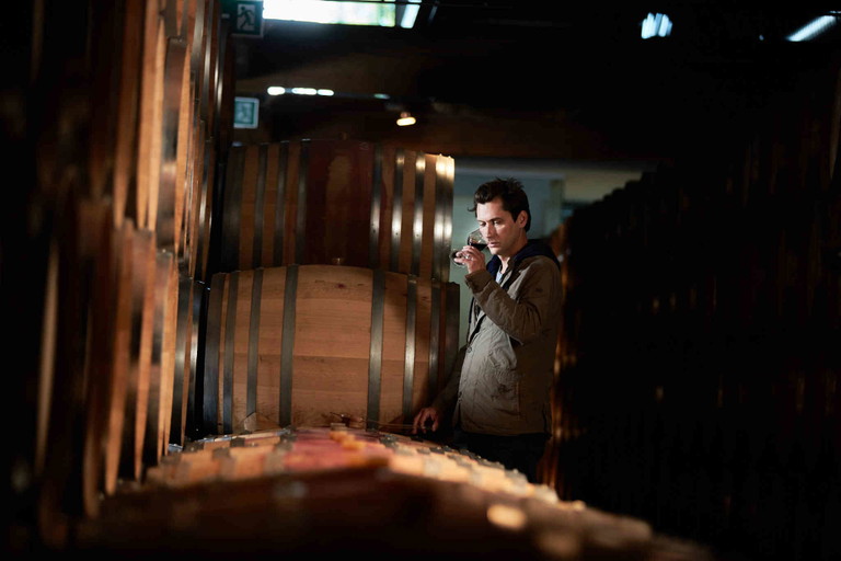 Die sorgfältige Verarbeitung und der naturnahe Anbau sind die Grundlage der Weinqualität.