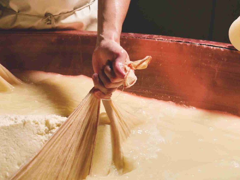 Cheesemaking: separating curds from whey