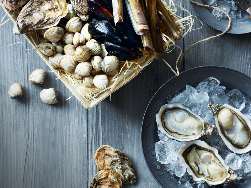Shellfish: Sea Delight