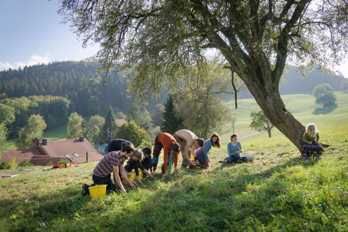 ...und keltert aus den Früchten vorzügliche Obstschaumweine.&nbsp;