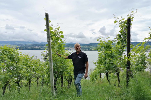 Alain Schwarzenbach vom Weingut Schwarzenbach in Meilen
