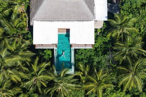 Treetop Pool Villa (Amilla Maldives)