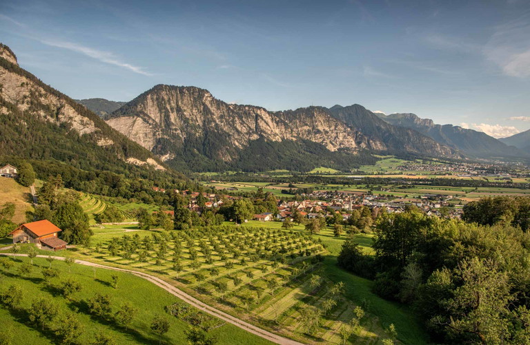 Das alpine Klima in der Bündner Herrschaft ist perfekt geeignet, um Cool-Climate-Weine zu produzieren.&nbsp;
