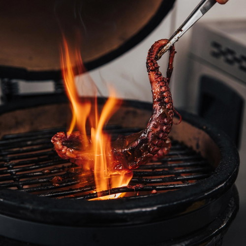 Der Einsatz&nbsp;eines Holzkohlegrills dient der Zubereitung vieler Speisen.