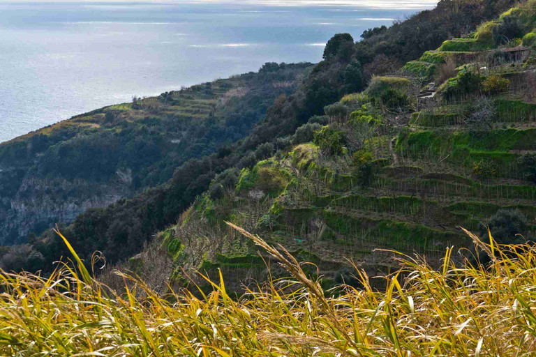 Biancolella&nbsp;– Ischia&nbsp;&nbsp;