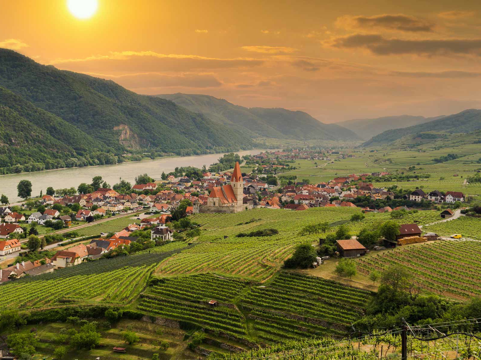 In der&nbsp;Wachau herrschen beste klimatische Bedingungen für den Weinbau.