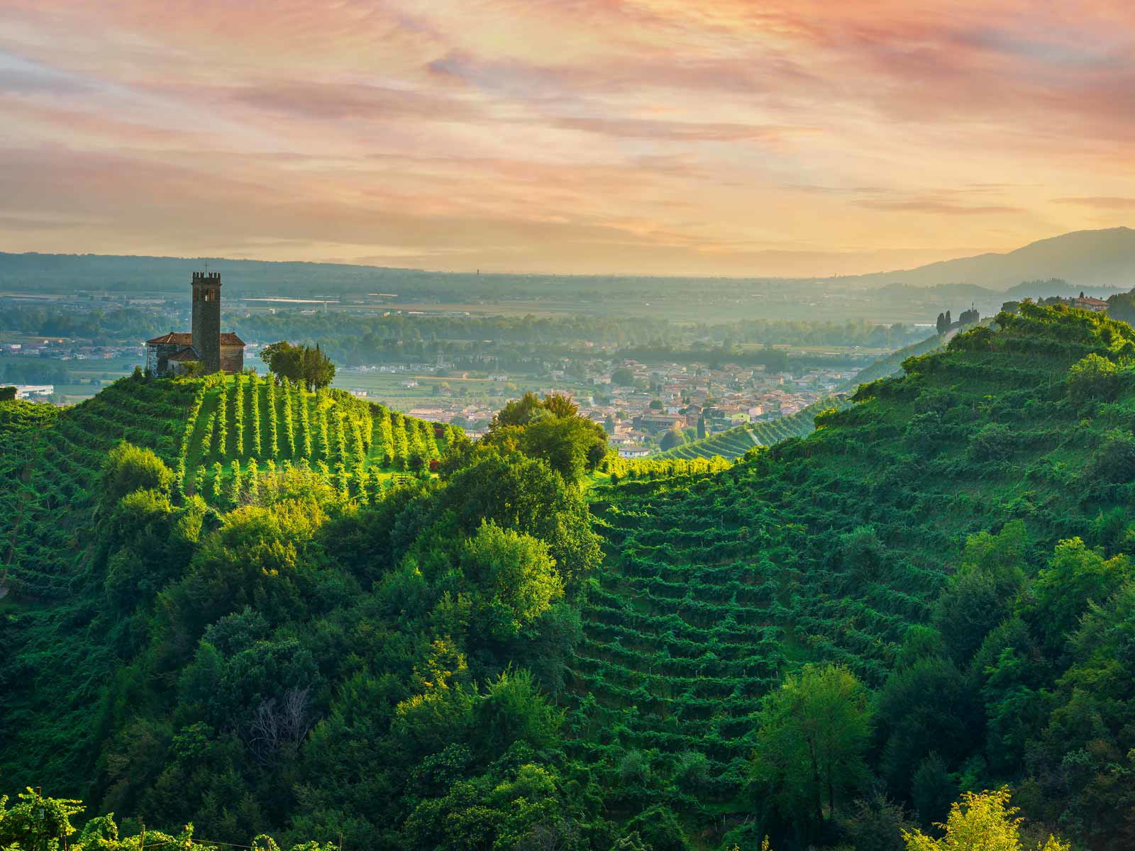 Die Weingärten um Valdobbiadene beeindrucken mit ihrer extremen Hanglage.