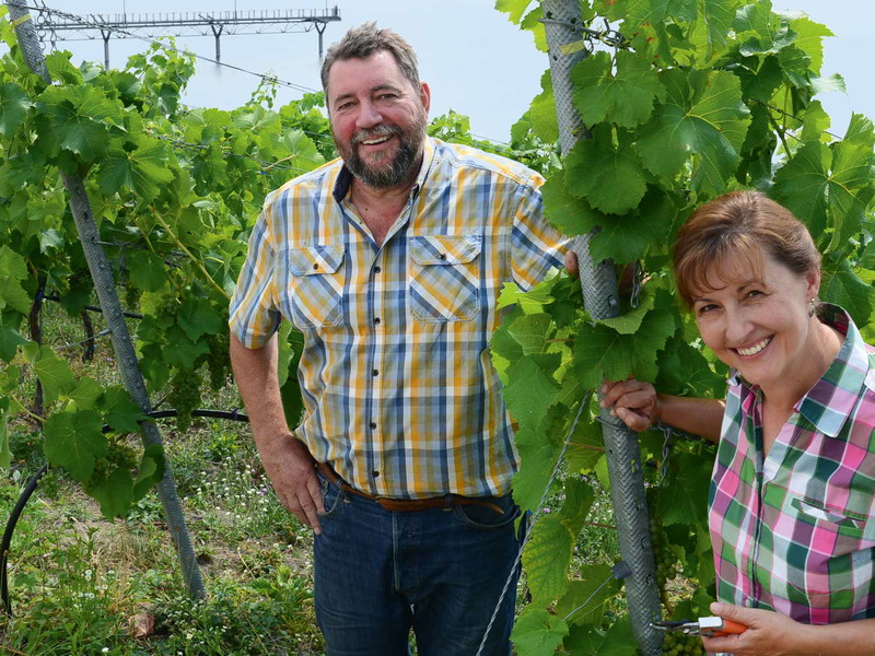 Die Rotwein-Sieger:&nbsp;Weingut Dr. Wobar&nbsp;aus Brandenburg
