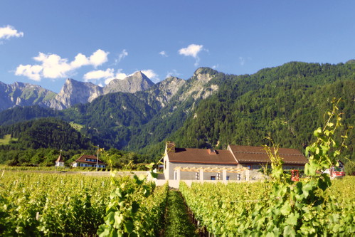 Weinstube »Alter Torkel«