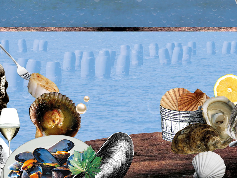 Oysters are famed for being an aphrodisiac but how healthy are they really?  &nbsp;