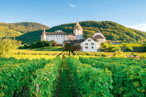 Château D’Aigle:&nbsp;Ikone des Waadtländer Weinbaus&nbsp;
Den Grundstein für das beeindruckende Schloss in Aigle legte man im 11. Jahrhundert. Heute beherbergt es ein imposantes Weinbaumuseum mit diversen Ausstellungen.