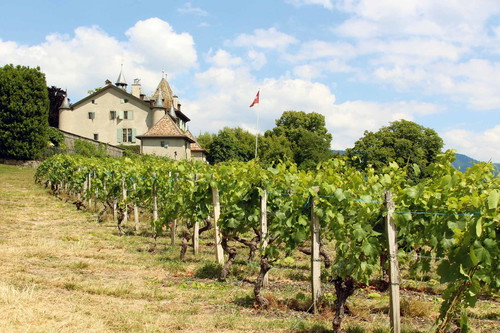Der Hugenotte Théodore Agrippa d’Aubigné – Kriegsherr und Dichter – verlieh dem Château du Crest sein heutiges Antlitz.&nbsp;