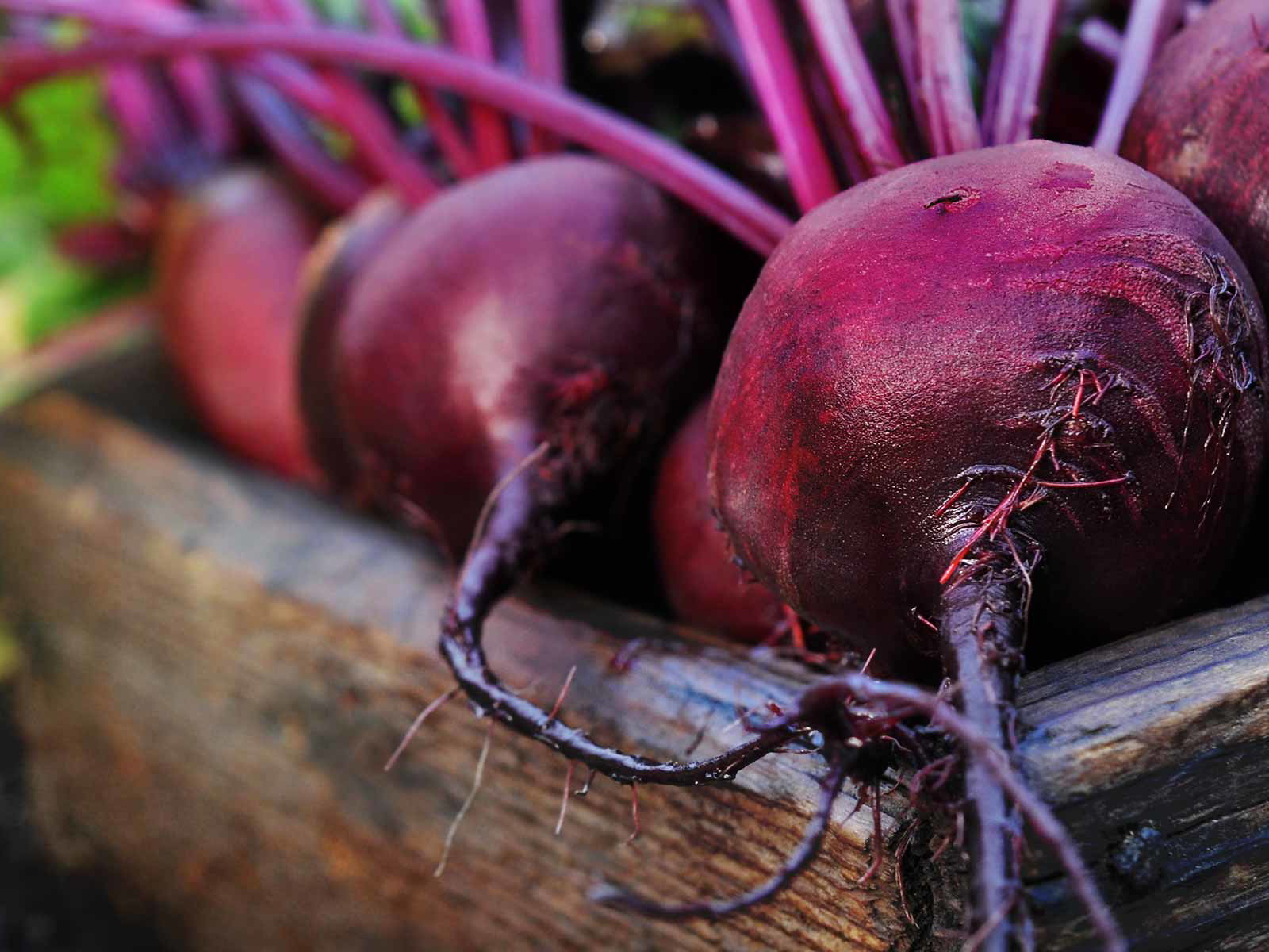 Beetroot: The Original Aphrodisiac