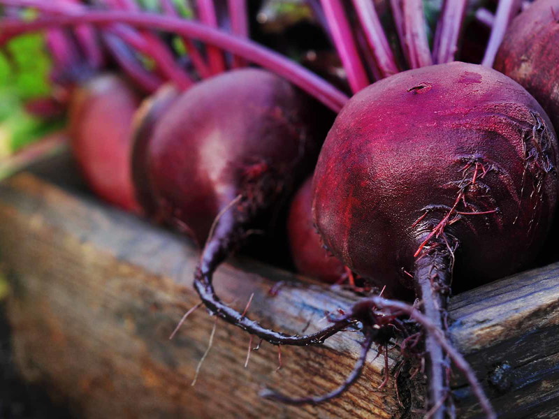 Beetroot: The Original Aphrodisiac