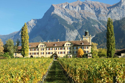 Schloss Salenegg:&nbsp;Die Wiege der Bündner Weinkultur
Bereits im Jahr 1068 begann man auf Schloss Salenegg Weinbau zu betreiben. Heute gilt das Schloss inmitten der Bündner Alpen als ältestes noch existierendes Weingut Europas.&nbsp;