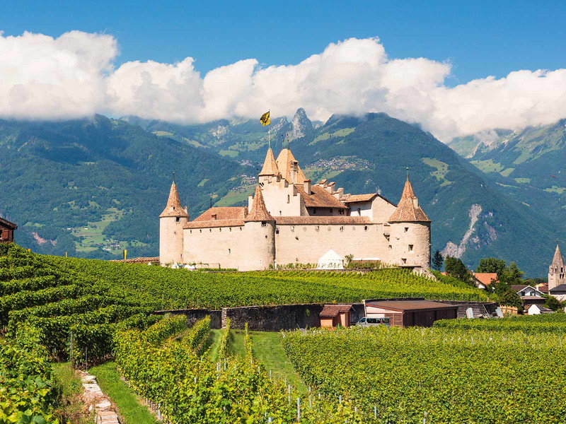Umgeben von Rebbergen erhebt sich das Château d’Aigle im gleichnamigen Ort im Waadtland.