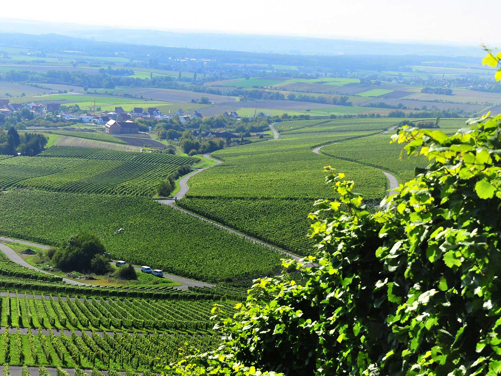 Die Seele baumeln lassen und die Weinberge genießen – wie hier in Iphofen.