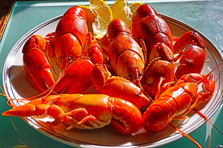 Crayfish