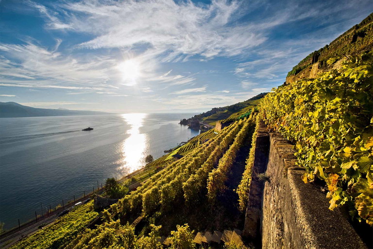Die Weinterrassen von Lavaux gehören zum UNSECO Welterbe.&nbsp;