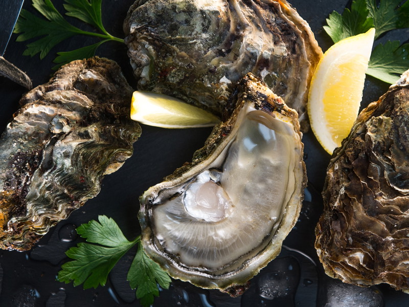 The World’s Eight Best Places to Eat Oysters